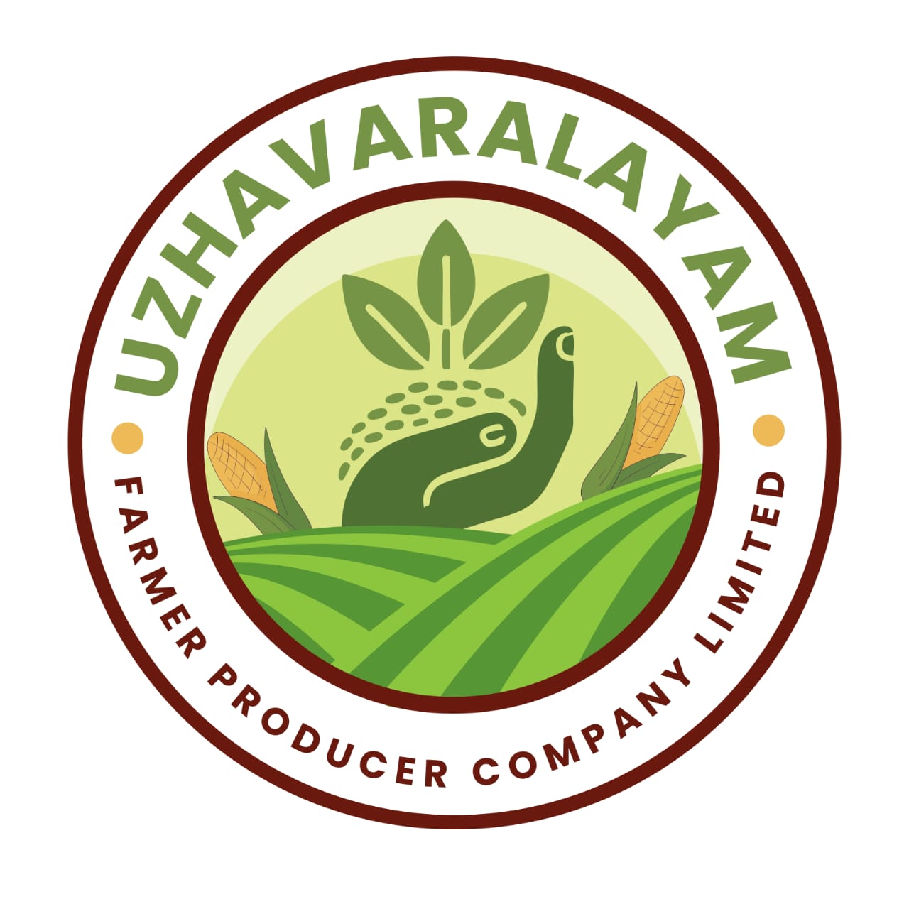 Logo 11