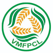 Logo 6